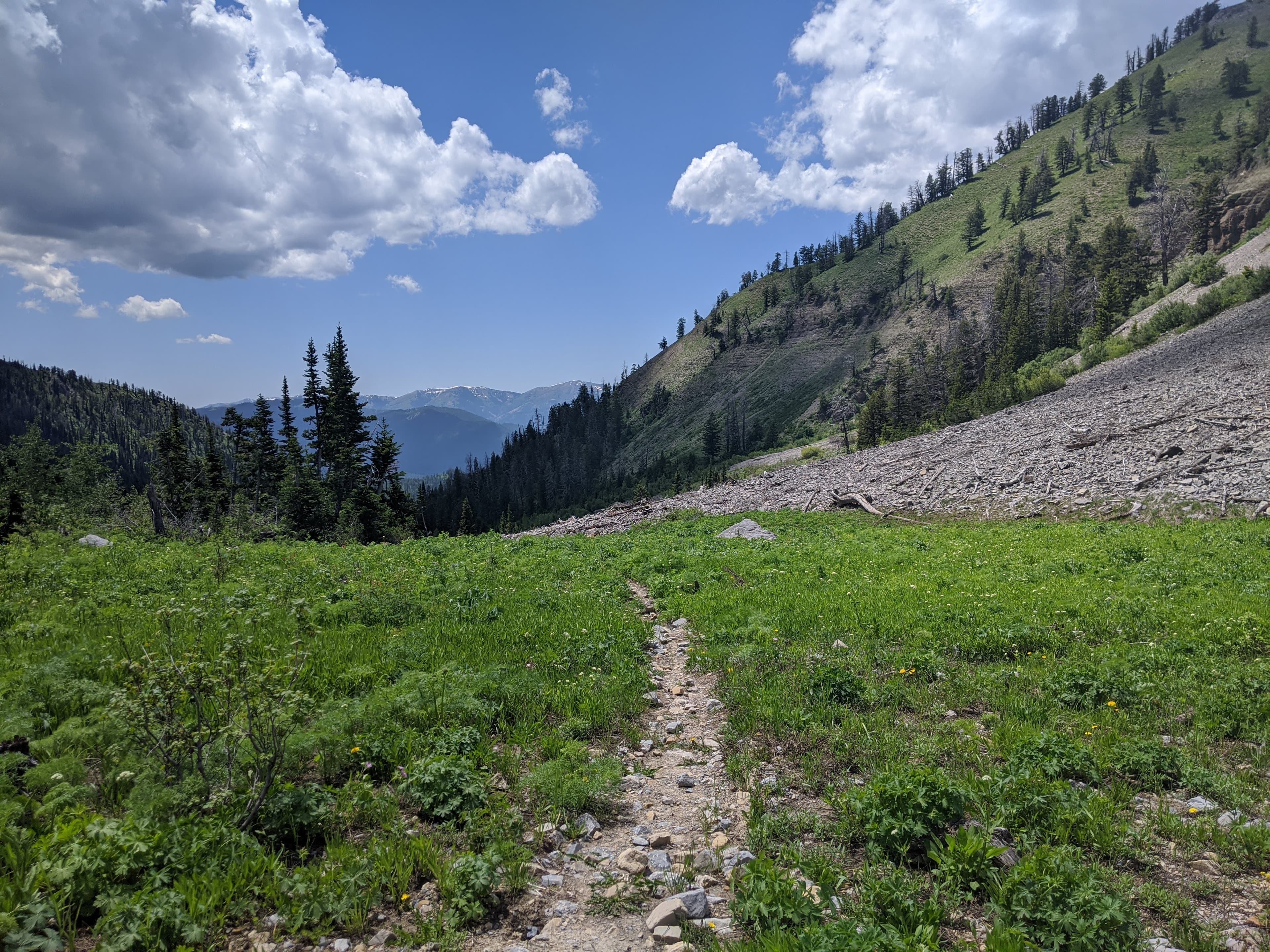 The route toward Mt. Baird